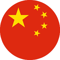 中文